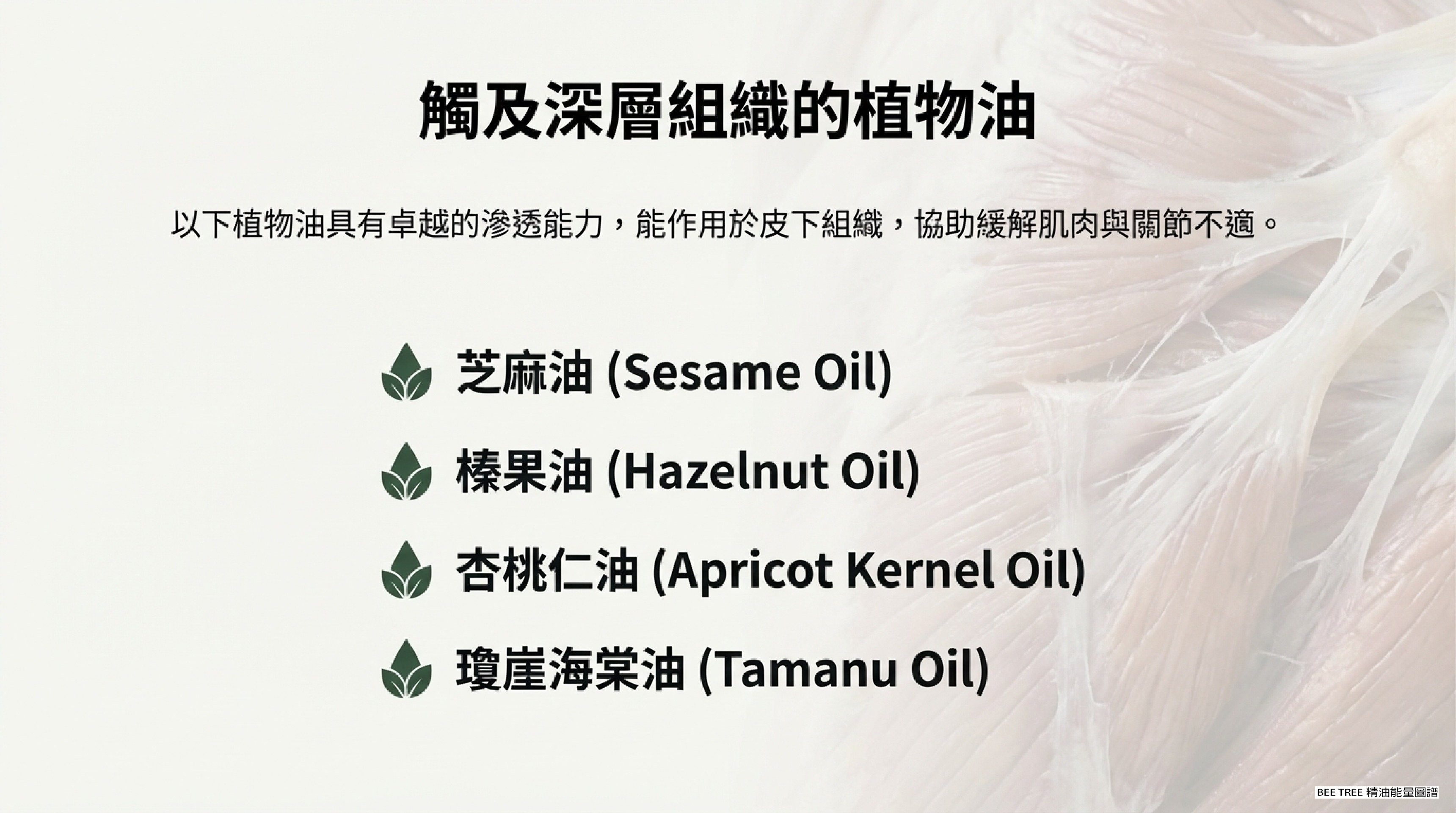 觸及深層組織的植物油 — 4 款臨床級深層滲透油