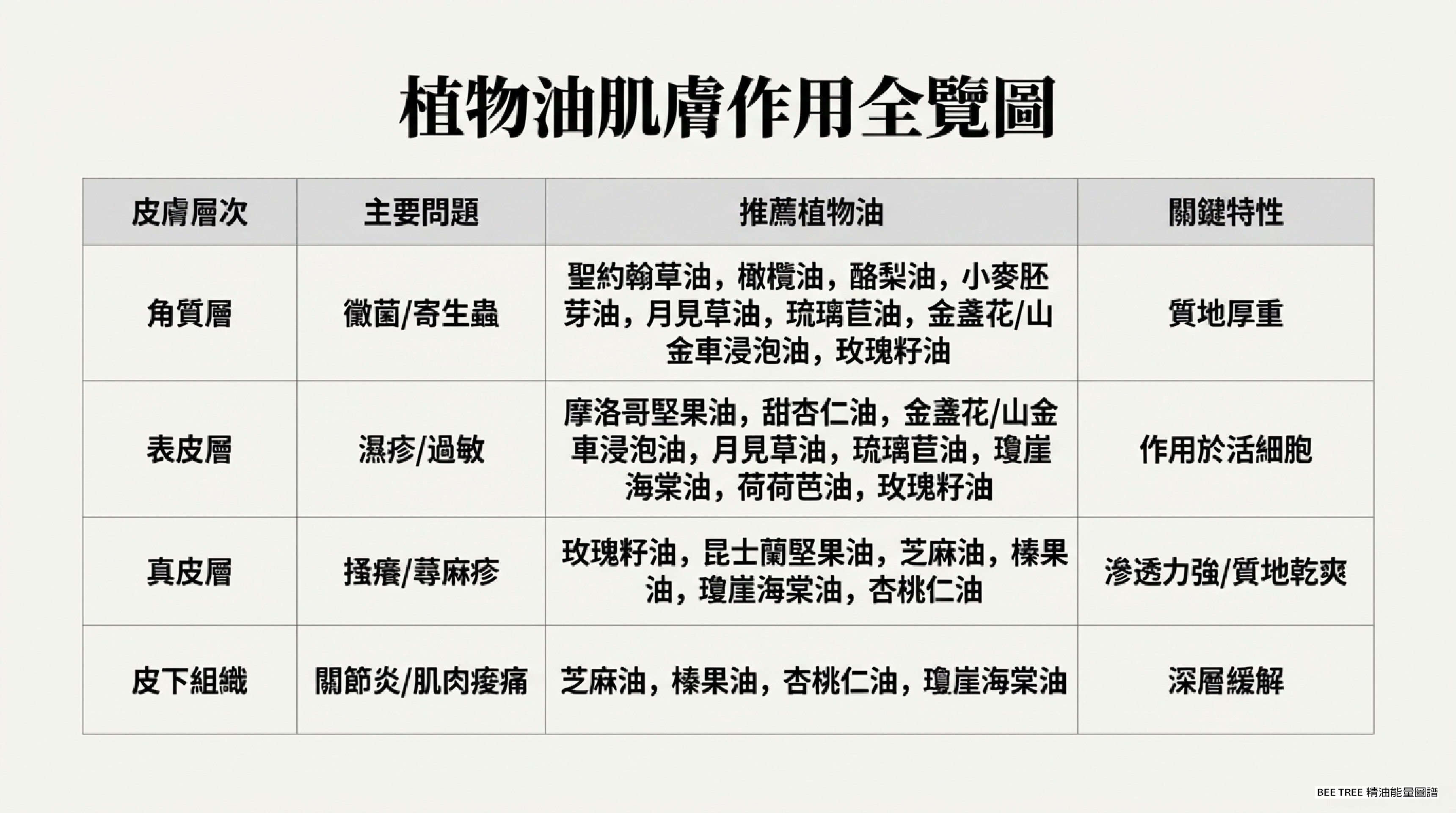 植物油肌膚作用全覽圖 — 4 層 × 對應油品 × 關鍵特性