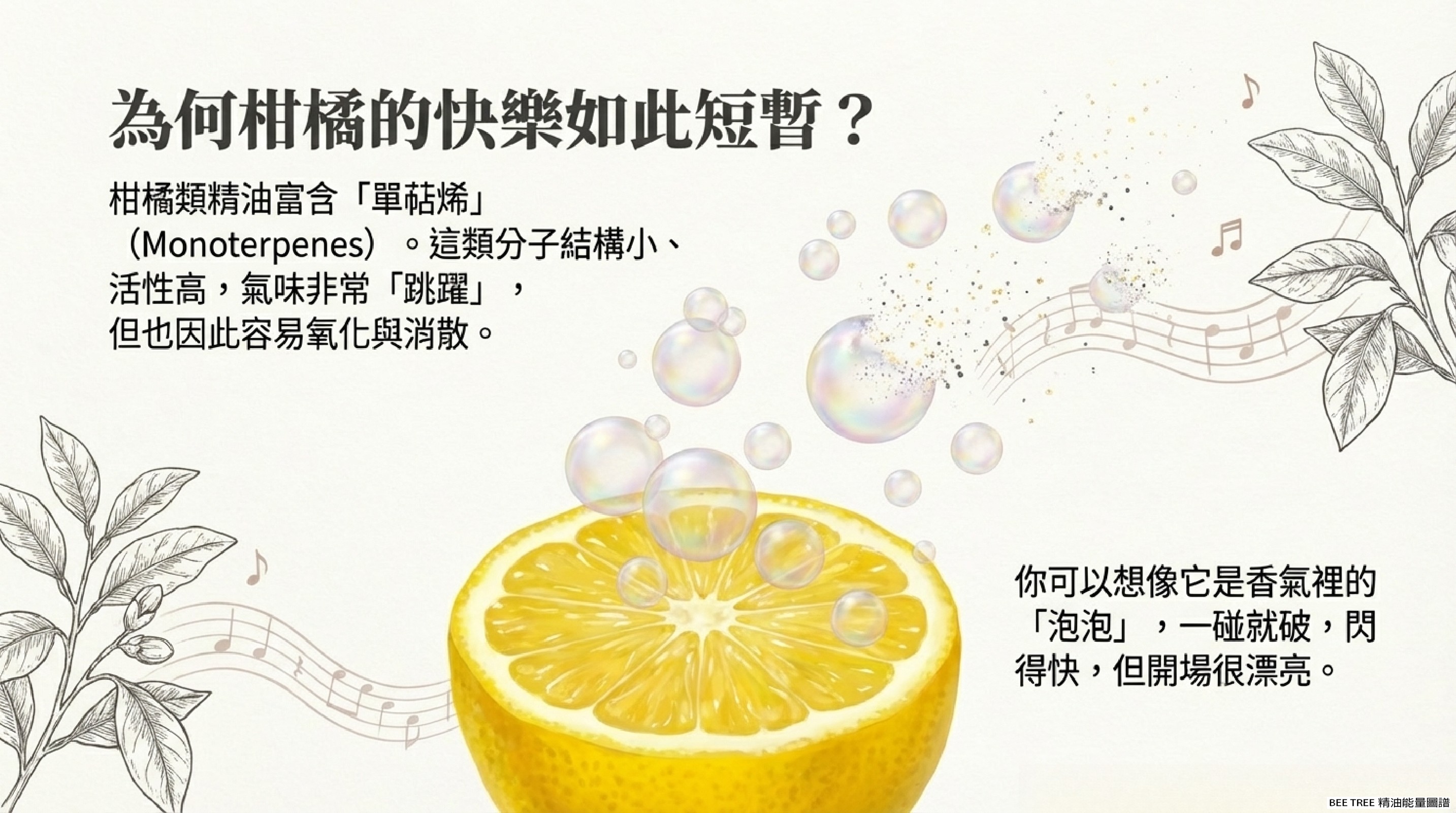 為何柑橘的快樂如此短暫？單萜烯就像氣味裡的泡泡，一碰就破