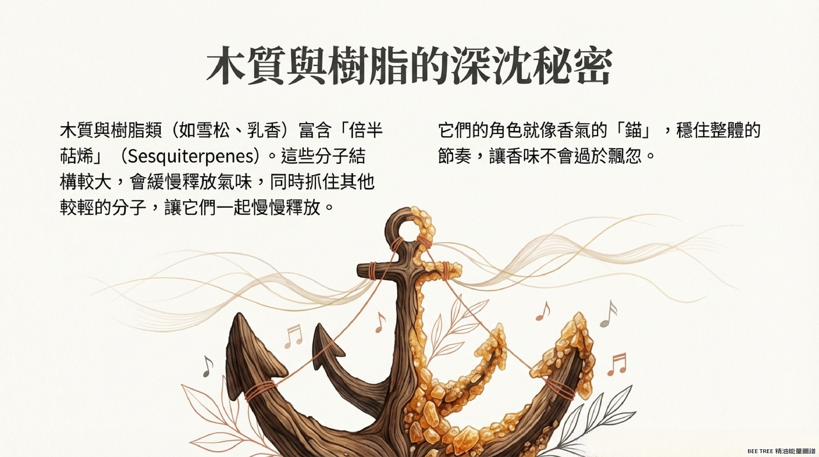 木質與樹脂類的倍半萜烯，是香氣裡的錨點，穩住整體節奏