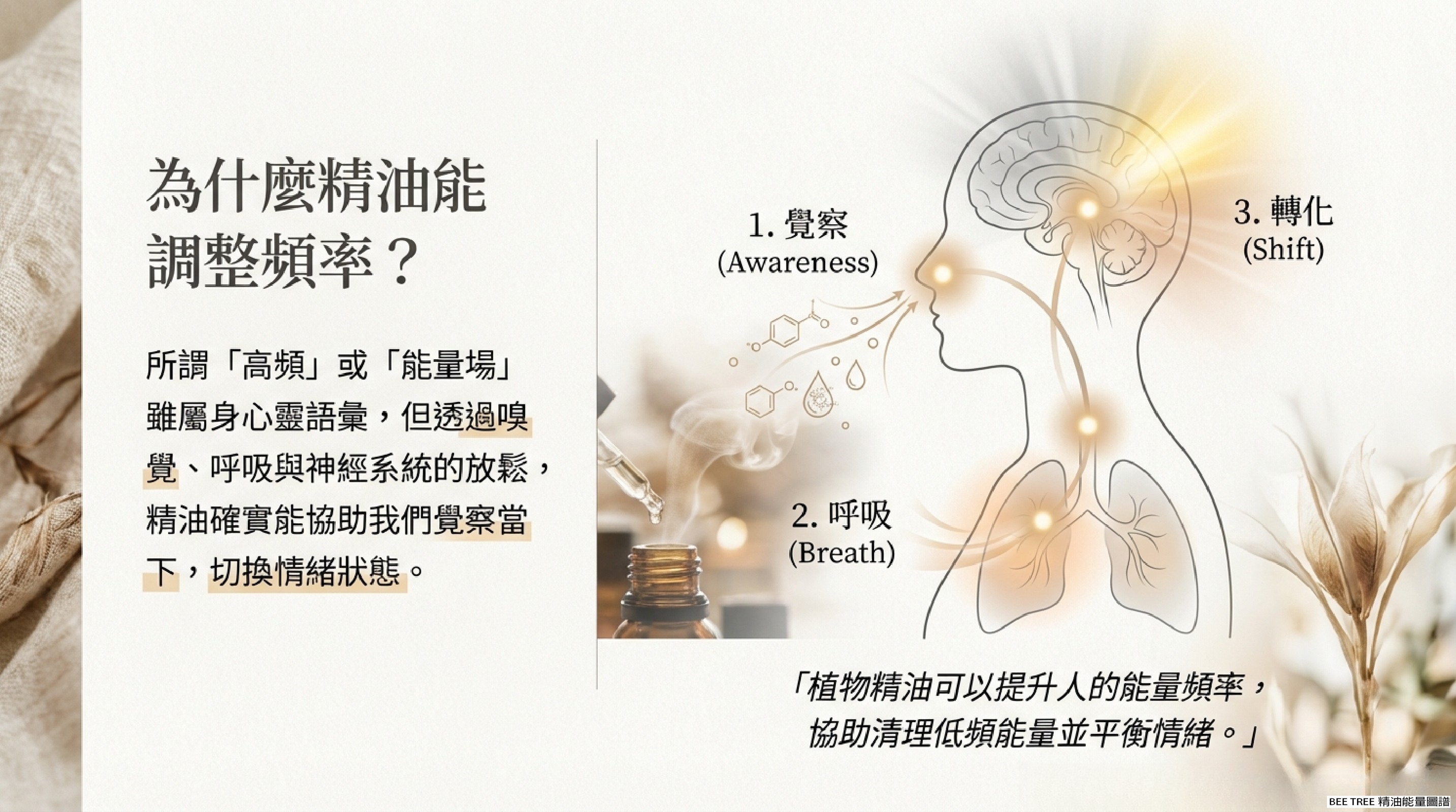為什麼精油能調整頻率？覺察 × 呼吸 × 轉化三階段機制