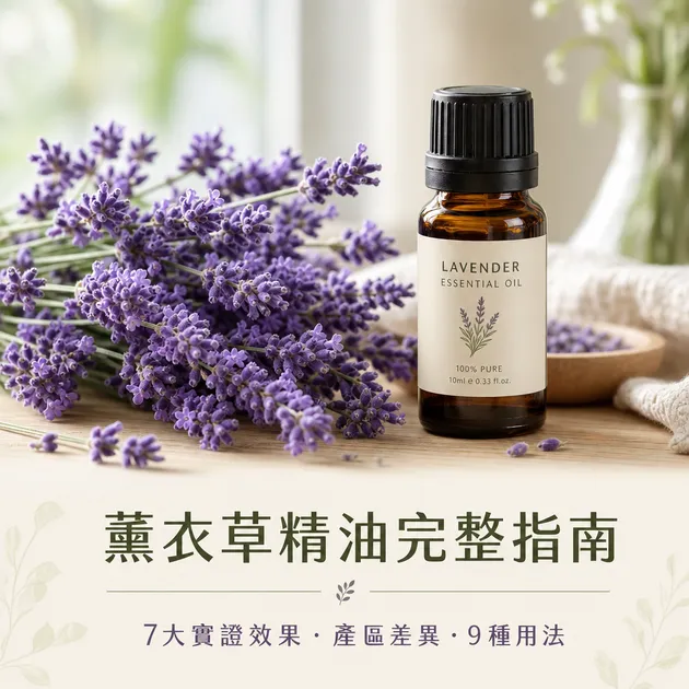 薰衣草精油功效完整指南｜7 大實證效果、產區差異、9 種正確用法｜精油百科｜澳思萊芳療筆記