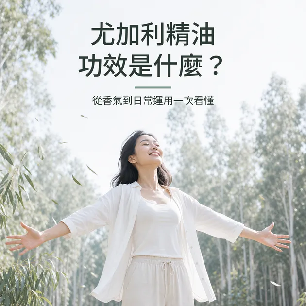 尤加利精油功效是什麼？從香氣到日常運用一次看懂｜精油百科｜澳思萊芳療筆記