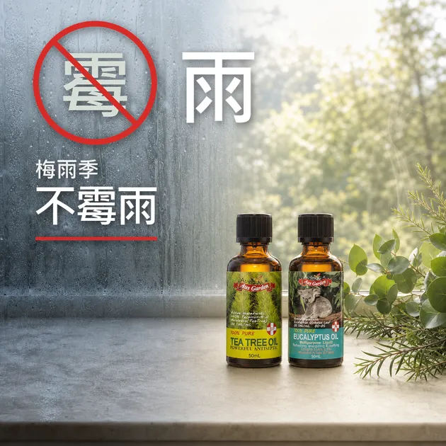 🌧️ 梅雨季防霉全攻略｜大雨淹水消毒、去霉味密技，芳療師教你 4 款精油打造乾爽日常！｜芳療生活儀式｜澳思萊芳療筆記